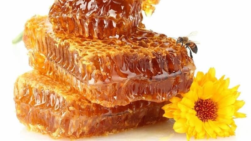 تصویر 4 از عسل سبلان سرعین محصولی کوهستانی با کیفیت مطلوب